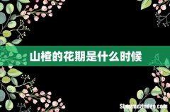 山楂的花期是什么时候