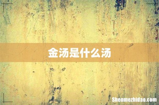 金汤是什么汤