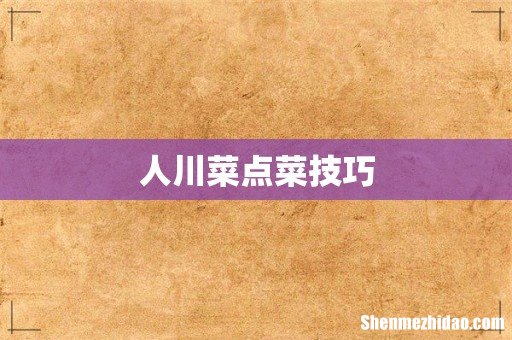 人川菜点菜技巧