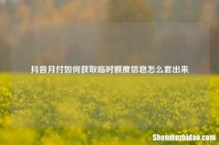 抖音月付如何获取临时额度信息怎么套出来