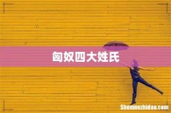 匈奴四大姓氏