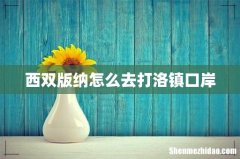 西双版纳怎么去打洛镇口岸