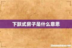 下跃式房子是什么意思