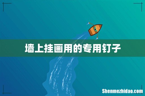 墙上挂画用的专用钉子