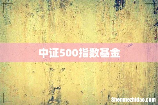 中证500指数基金