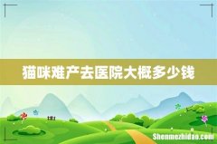 猫咪难产去医院大概多少钱