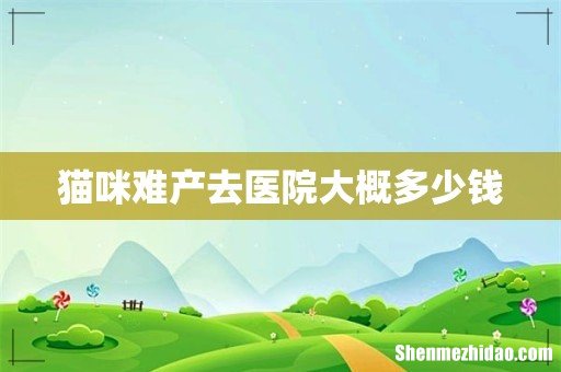 猫咪难产去医院大概多少钱