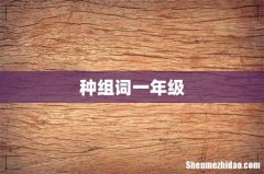 种组词一年级