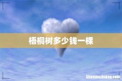 梧桐树多少钱一棵