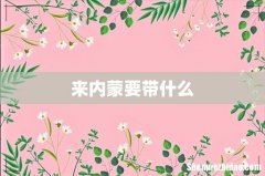 来内蒙要带什么