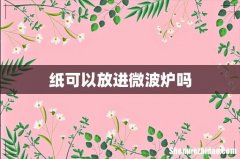 纸可以放进微波炉吗