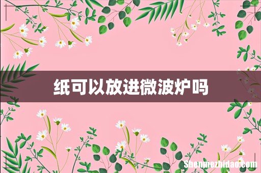 纸可以放进微波炉吗