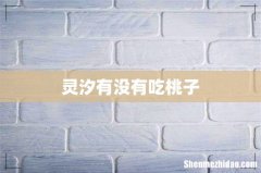 灵汐有没有吃桃子