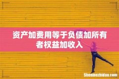 资产加费用等于负债加所有者权益加收入