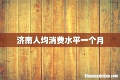 济南人均消费水平一个月