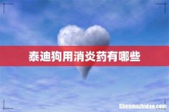 泰迪狗用消炎药有哪些