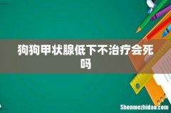 狗狗甲状腺低下不治疗会死吗