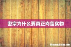 密宗为什么要真正肉莲实物