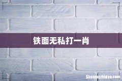 铁面无私打一肖