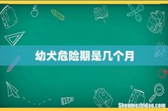 幼犬危险期是几个月