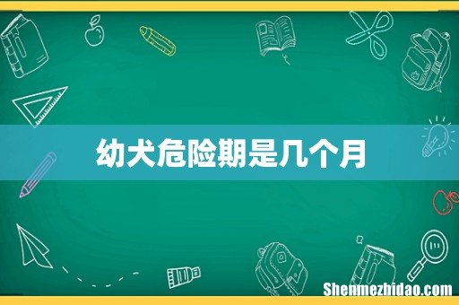 幼犬危险期是几个月