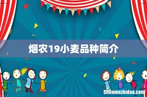 烟农19小麦品种简介