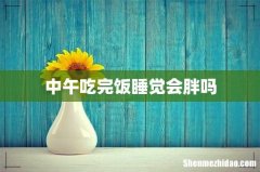 中午吃完饭睡觉会胖吗