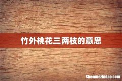 竹外桃花三两枝的意思
