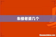 朱棣老婆几个