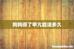 狗狗得了甲亢能活多久