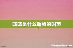 吱吱是什么动物的叫声