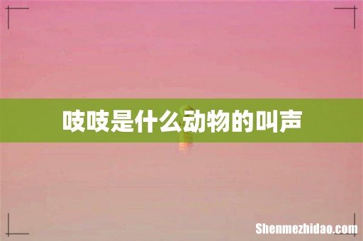 吱吱是什么动物的叫声