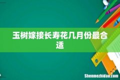 玉树嫁接长寿花几月份最合适