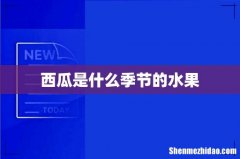 西瓜是什么季节的水果