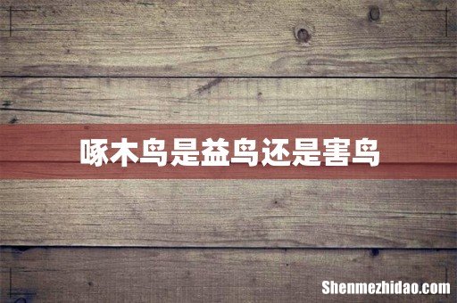 啄木鸟是益鸟还是害鸟
