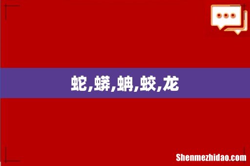 蛇,蟒,蚺,蛟,龙