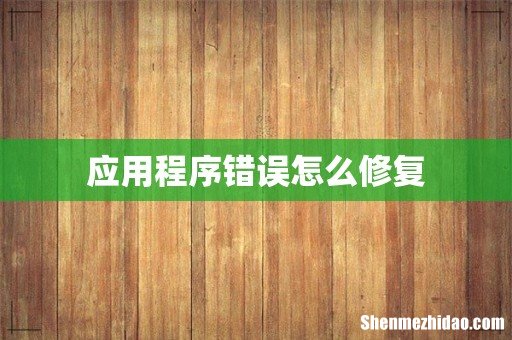应用程序错误怎么修复