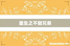 重生之不做兄弟