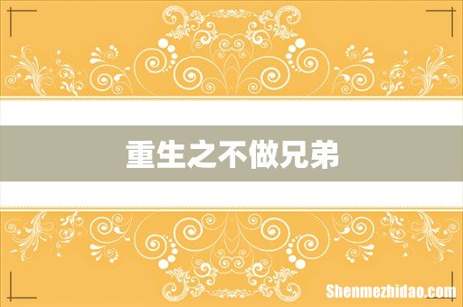 重生之不做兄弟