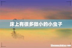 床上有很多微小的小虫子