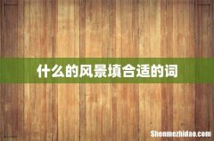 什么的风景填合适的词