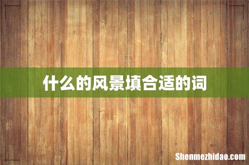 什么的风景填合适的词