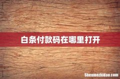 白条付款码在哪里打开