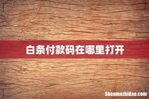 白条付款码在哪里打开
