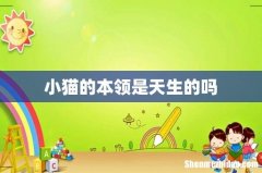 小猫的本领是天生的吗