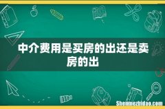 中介费用是买房的出还是卖房的出