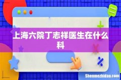 上海六院丁志祥医生在什么科