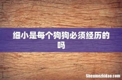 细小是每个狗狗必须经历的吗