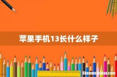 苹果手机13长什么样子