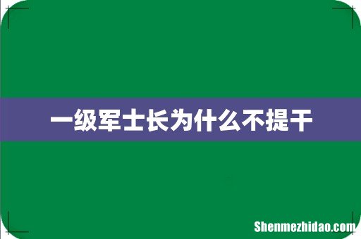 一级军士长为什么不提干